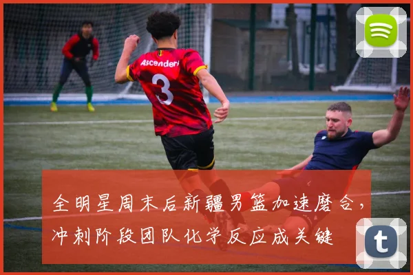 全明星周末后新疆男篮加速磨合，冲刺阶段团队化学反应成关键 - 搜狐体育推荐