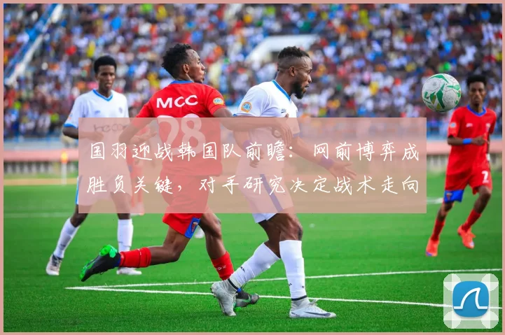 国羽迎战韩国队前瞻：网前博弈成胜负关键，对手研究决定战术走向 - 搜狐体育资讯