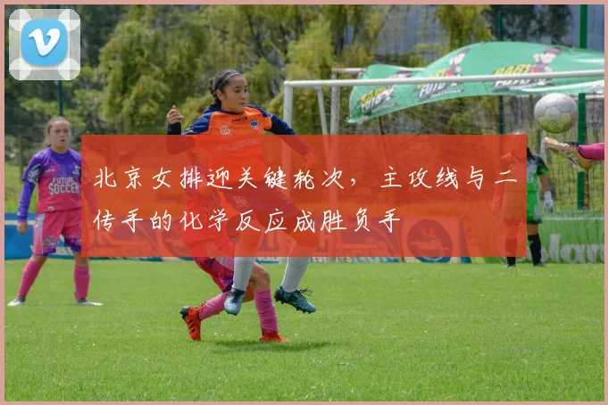 北京女排迎关键轮次,主攻线与二传手的化学反应成胜负手 - 搜狐体育推荐