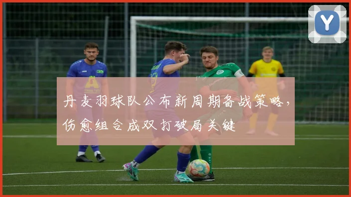 丹麦羽球队公布新周期备战策略,伤愈组合成双打破局关键 - 搜狐体育推荐