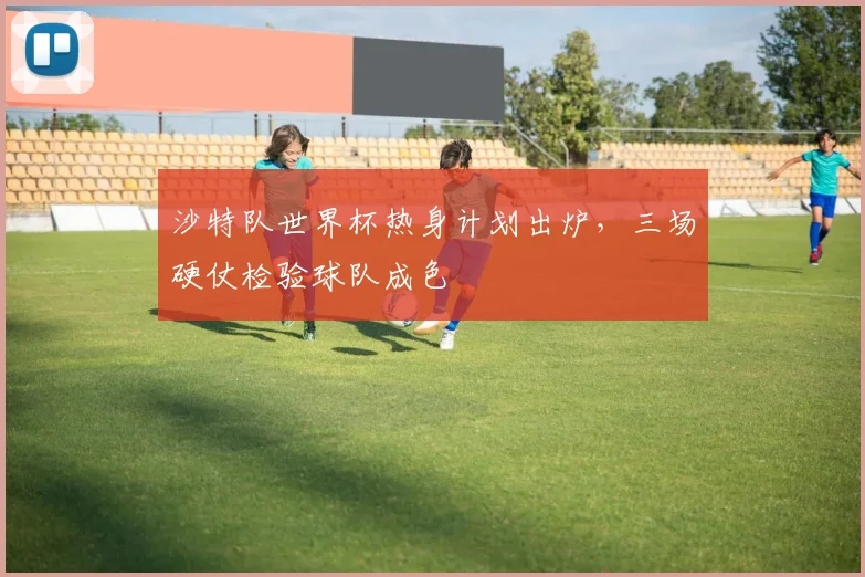 沙特队世界杯热身计划出炉，三场硬仗检验球队成色 - 搜狐体育推荐