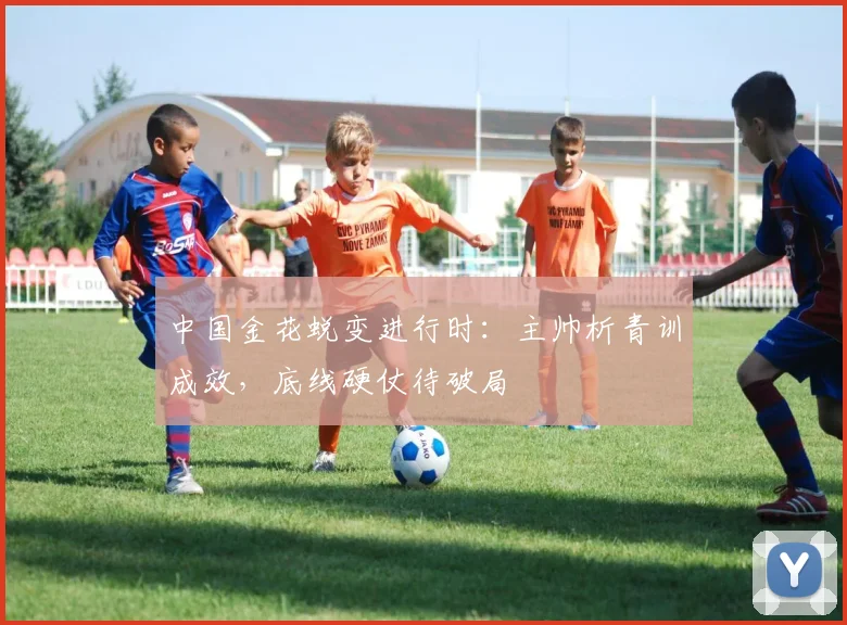 中国金花蜕变进行时:主帅析青训成效,底线硬仗待破局 - 搜狐体育推荐