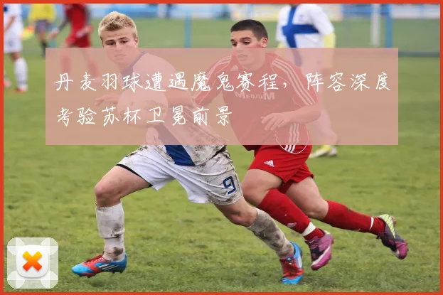 丹麦羽球遭遇魔鬼赛程,阵容深度考验苏杯卫冕前景 - 搜狐体育推荐