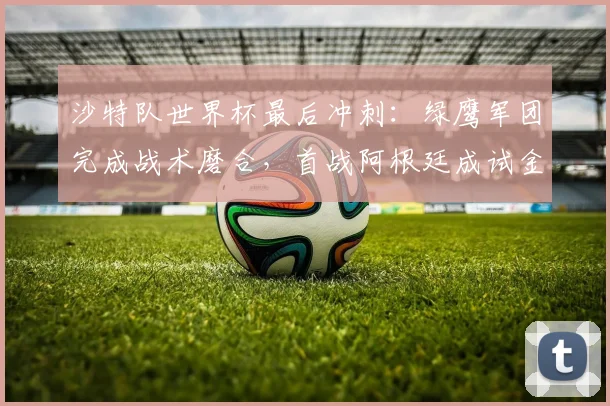 沙特队世界杯最后冲刺:绿鹰军团完成战术磨合,首战阿根廷成试金石 - 搜狐体育推荐