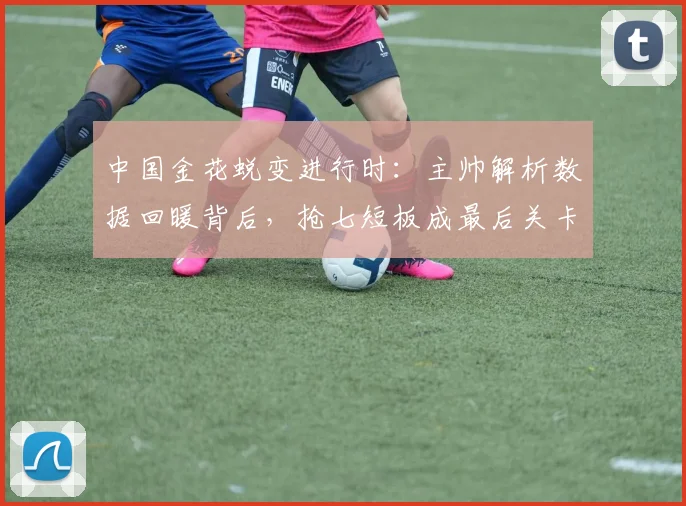 中国金花蜕变进行时：主帅解析数据回暖背后，抢七短板成最后关卡 - 搜狐体育推荐