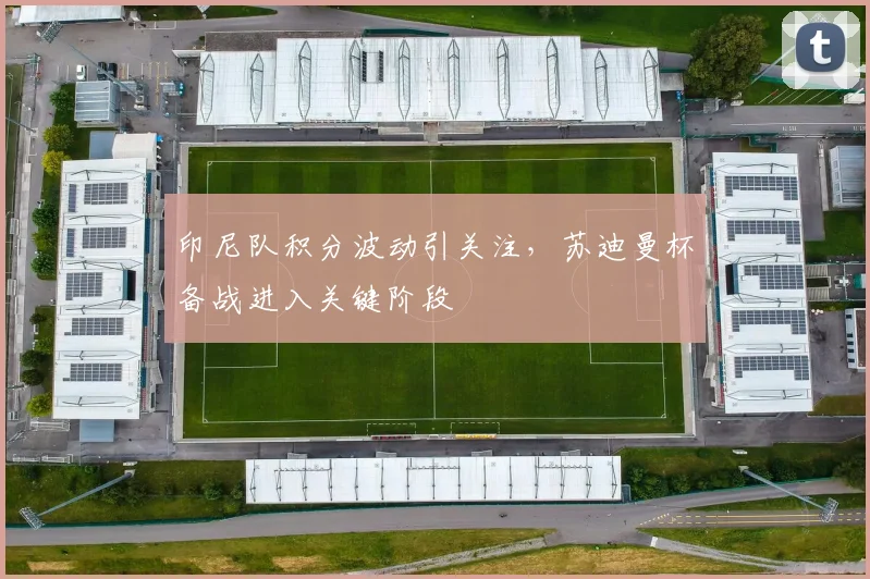印尼队积分波动引关注，苏迪曼杯备战进入关键阶段 - 搜狐体育推荐