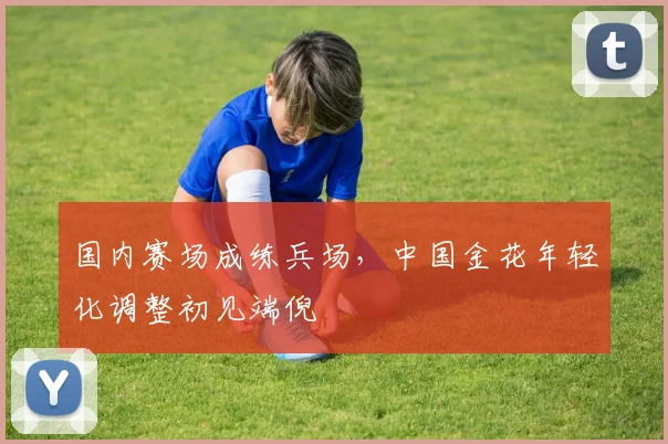 国内赛场成练兵场，中国金花年轻化调整初见端倪 - 搜狐体育资讯