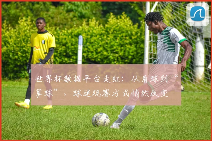 世界杯数据平台走红:从看球到“算球”,球迷观赛方式悄然改变 - 搜狐体育推荐