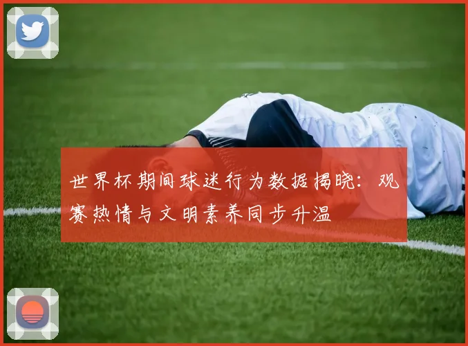世界杯期间球迷行为数据揭晓:观赛热情与文明素养同步升温 - 搜狐体育推荐